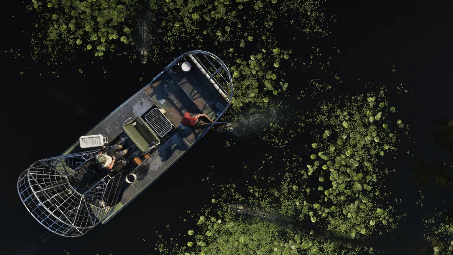 تصویر بازی Grand Theft Auto VI — 5